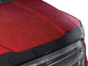 2000x1500_0416_Hood_Protector_Add_Rain_Original file.jpg
